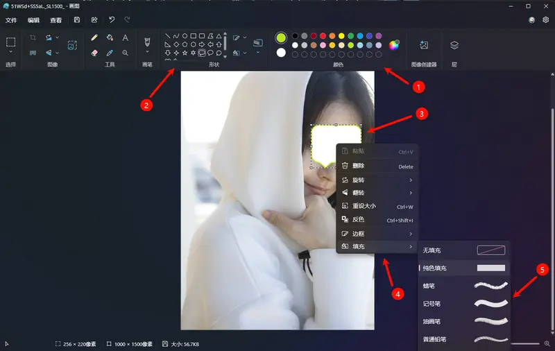 如何使用内置工具在 Windows 11 中隐藏照片中的敏感信息?插图 如何使用内置工具在 Windows 11 中隐藏照片中的敏感信息?插图