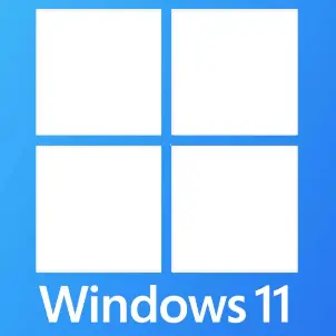 如何优化 Windows 11 性能，哪些后台进程可以安全结束？