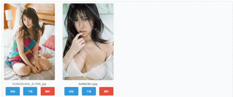 离线照片水印打码工具—保护你的图片不被盗用插图1 离线照片水印打码工具—保护你的图片不被盗用插图1