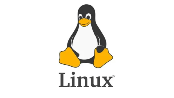 关于英伟达在Linux上的驱动：你需要知道的一些事情