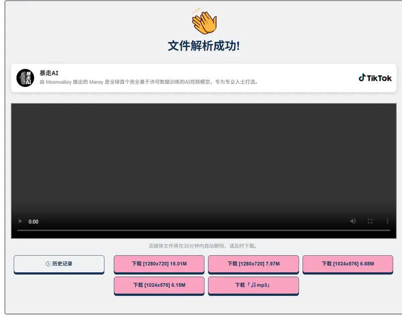  DLBunny：在线多平台视频下载工具上线，界面支持中文插图1