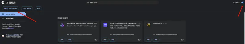 Chrome 138 禁用 uBlock Origin?别急,手动启用方法来了!插图3 Chrome 138 禁用 uBlock Origin?别急,手动启用方法来了!插图3