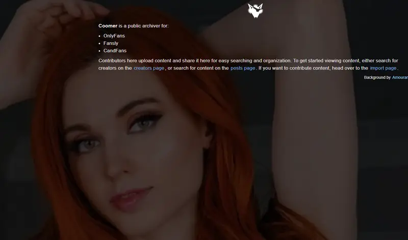 六种无需订阅即可访问 OnlyFans 视频的实用方法插图1