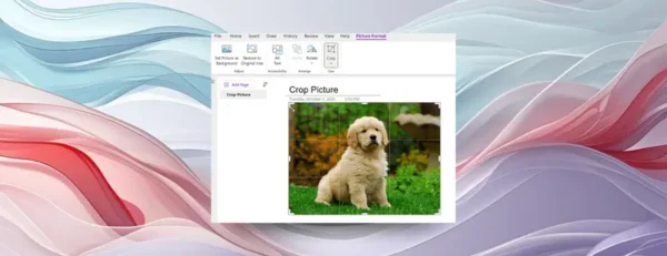 微软 OneNote 终于加入图片裁剪功能