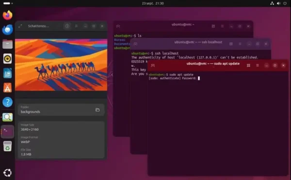 Ubuntu 25.10 正式发布：代号“Questing Quokka”