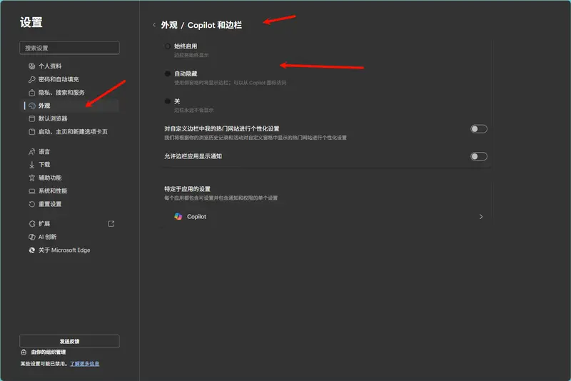 微软Edge 逐步移除侧边栏应用列表，Copilot 在 Windows 11 上的接管持续推进插图2