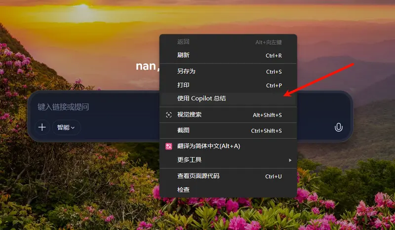 微软Edge 逐步移除侧边栏应用列表，Copilot 在 Windows 11 上的接管持续推进插图4