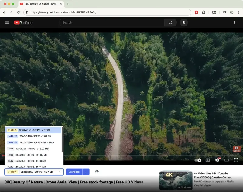 Tubly Downloader：轻量级 YouTube 视频下载扩展，一键保存无广告插图1