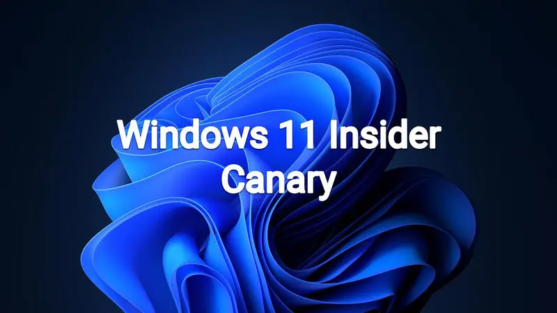 微软将 Windows 11 Canary 频道“一分为二”：新增 29500 系列分支，专注底层平台实验插图