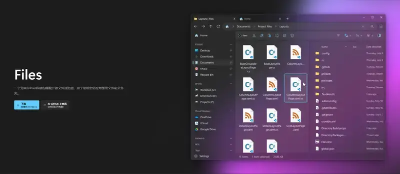 Files 4.0.28 更新：右键菜单大优化，支持隐藏固定选项与提升属性访问效率插图