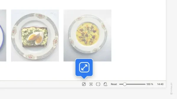 Vivaldi 7.9 版本带来可自定义的全屏模式、改进的拆分视图等