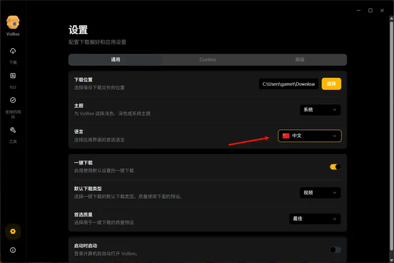 YouTube 下载救星？VidBee 支持 RSS 自动追更，本地化部署更安心插图2