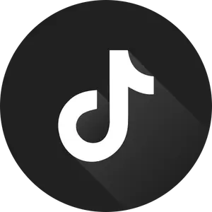 DouK-Downloader ：抖音 / TikTok 视频图集批量下载，附带 WebUI